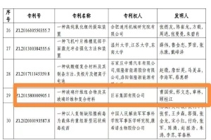 黄冈首金！J9集团国际站集团摘得中国专利奖金奖